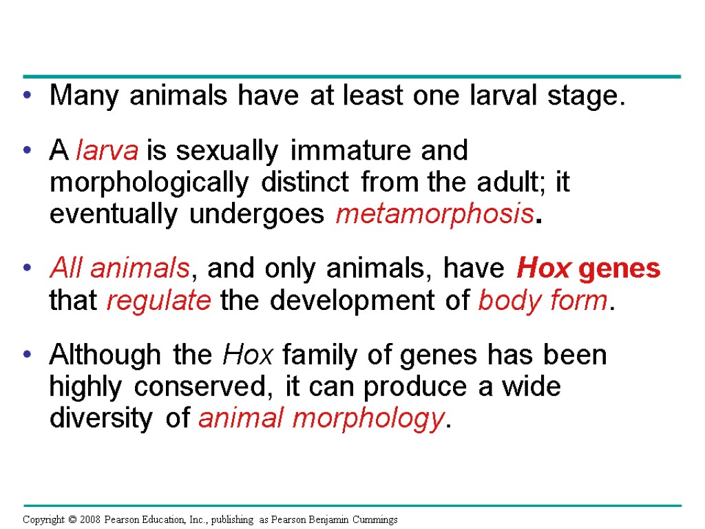 Many animals have at least one larval stage. A larva is sexually immature and